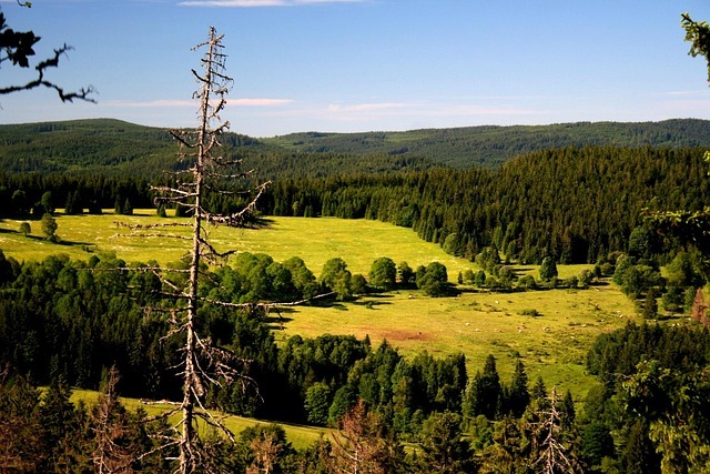 Šumava , historie, cestování
