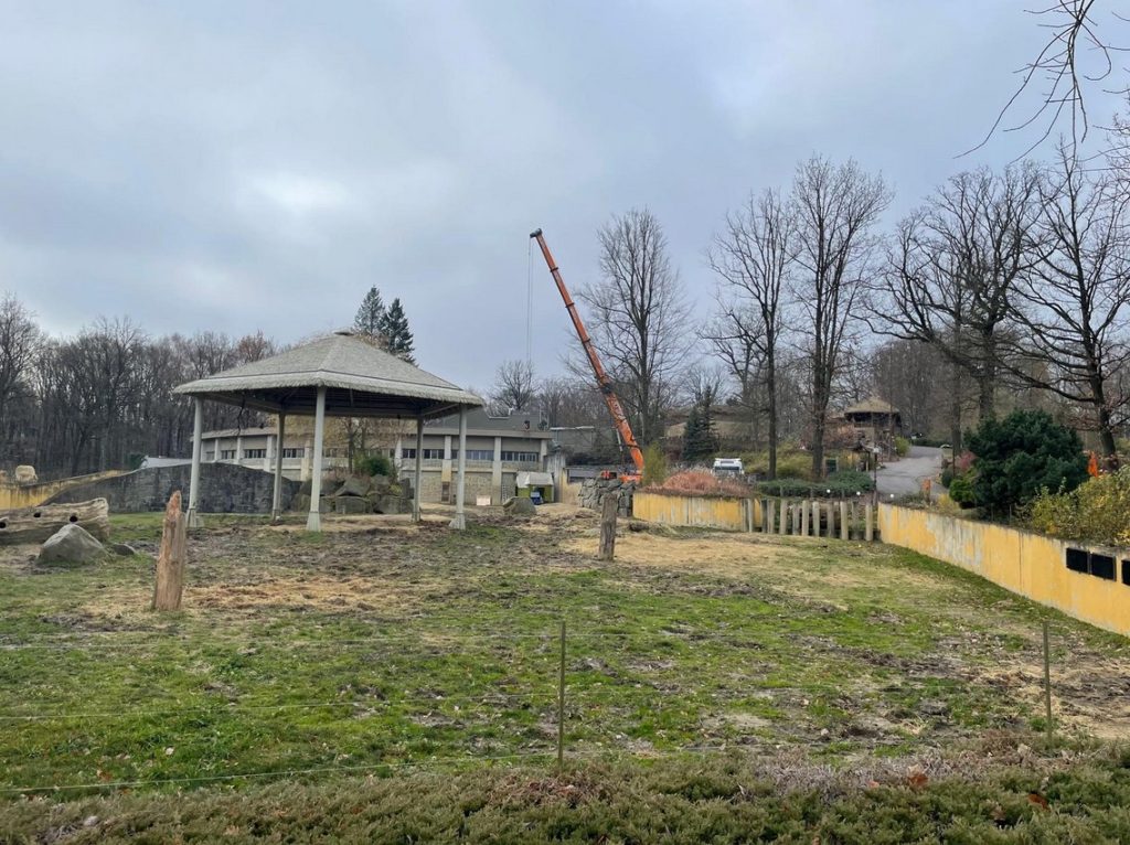 Zoo Ostrava, Mladý samec slona indického,