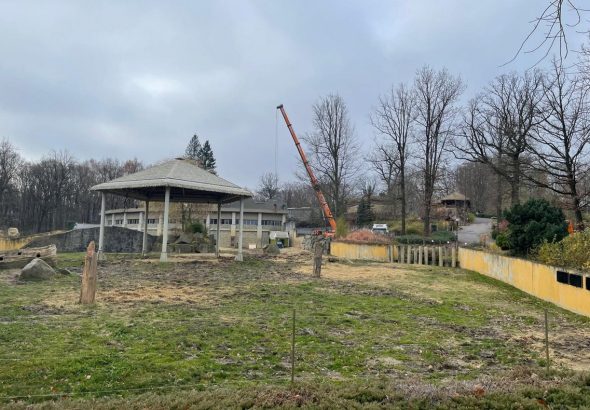 Zoo Ostrava, Mladý samec slona indického,