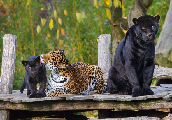 Zoo Zlín, návštěvnost