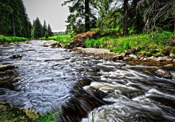 Šumava , historie, cestování