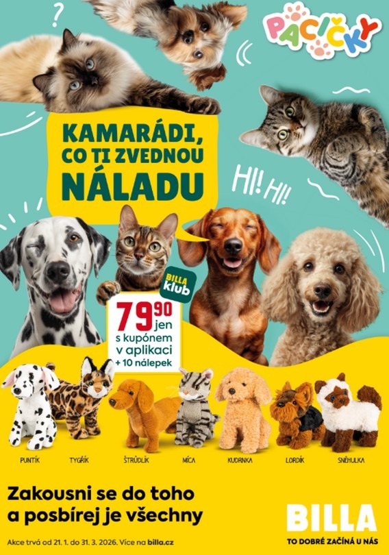 Plyšové pacičky, Billa