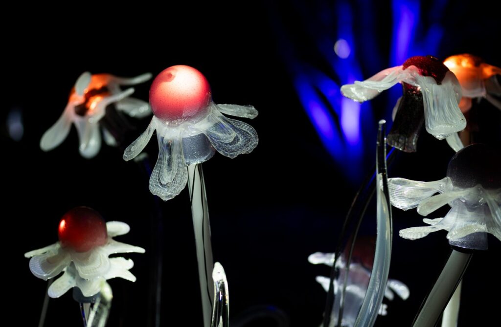 Botanická zahrada, Křišťálová zahrada