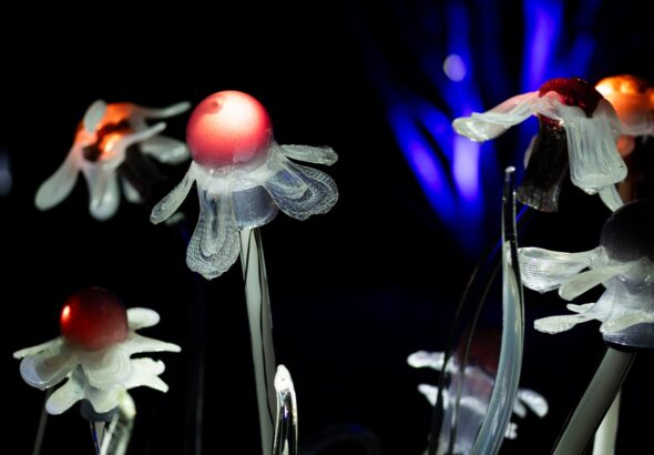 Botanická zahrada, Křišťálová zahrada