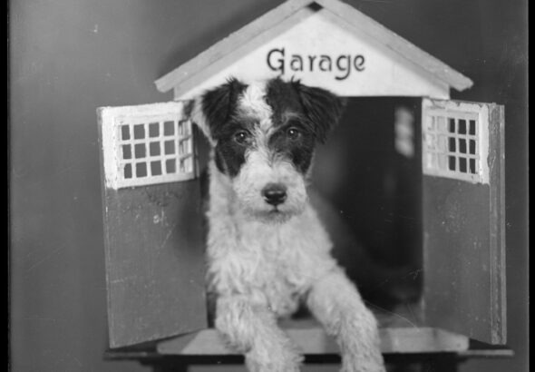 Vzorníky, Muzeum skla a bižuterie v Jablonci nad Nisou, kultura