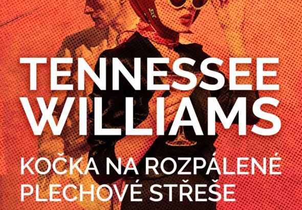 Kočka na rozpálené plechové střeše