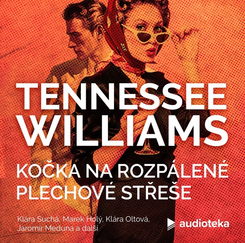 Kočka na rozpálené plechové střeše