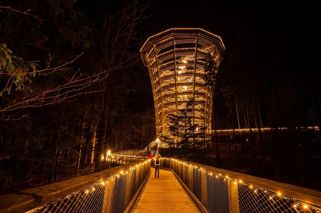 Stezka korunami stromů Krkonoše