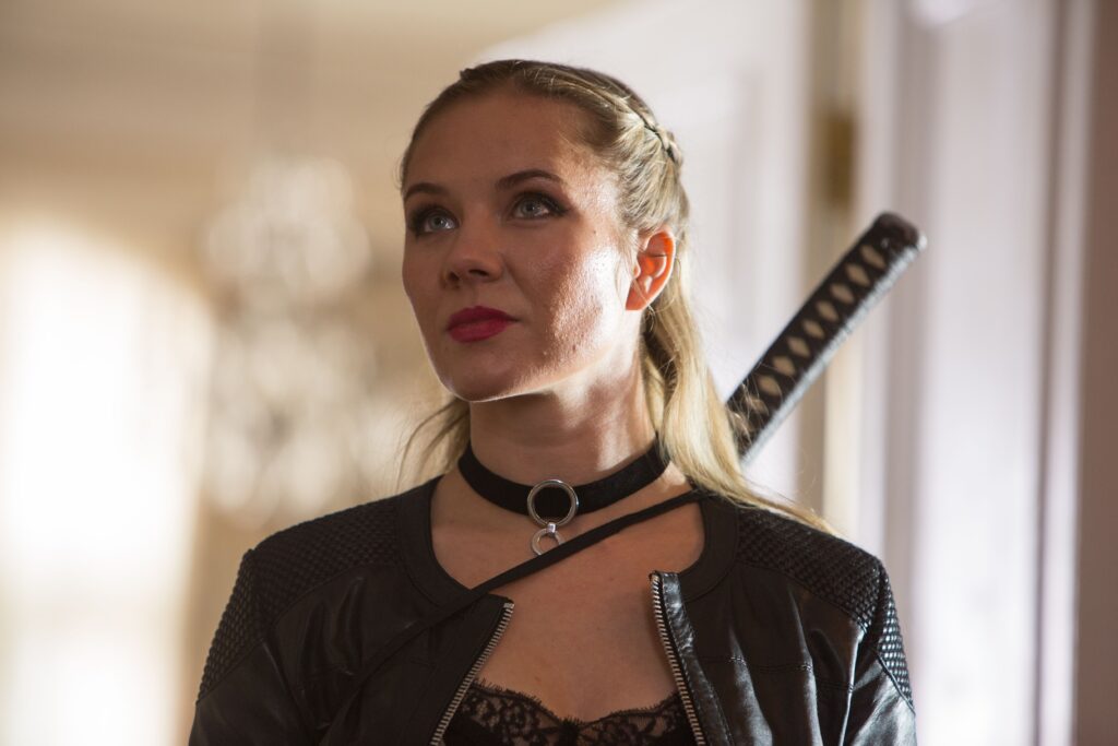 Krycí jméno, film, kultura,