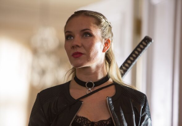 Krycí jméno, film, kultura,