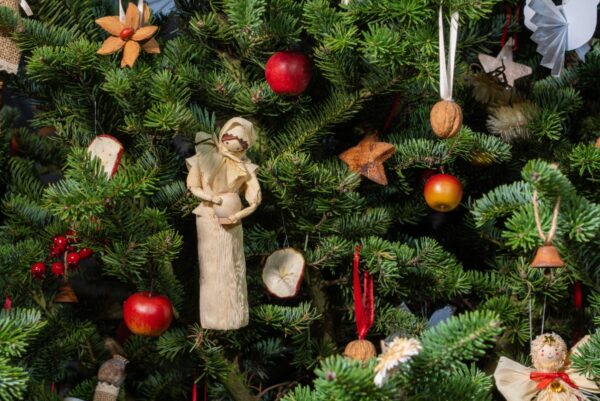 Příběh stromečku