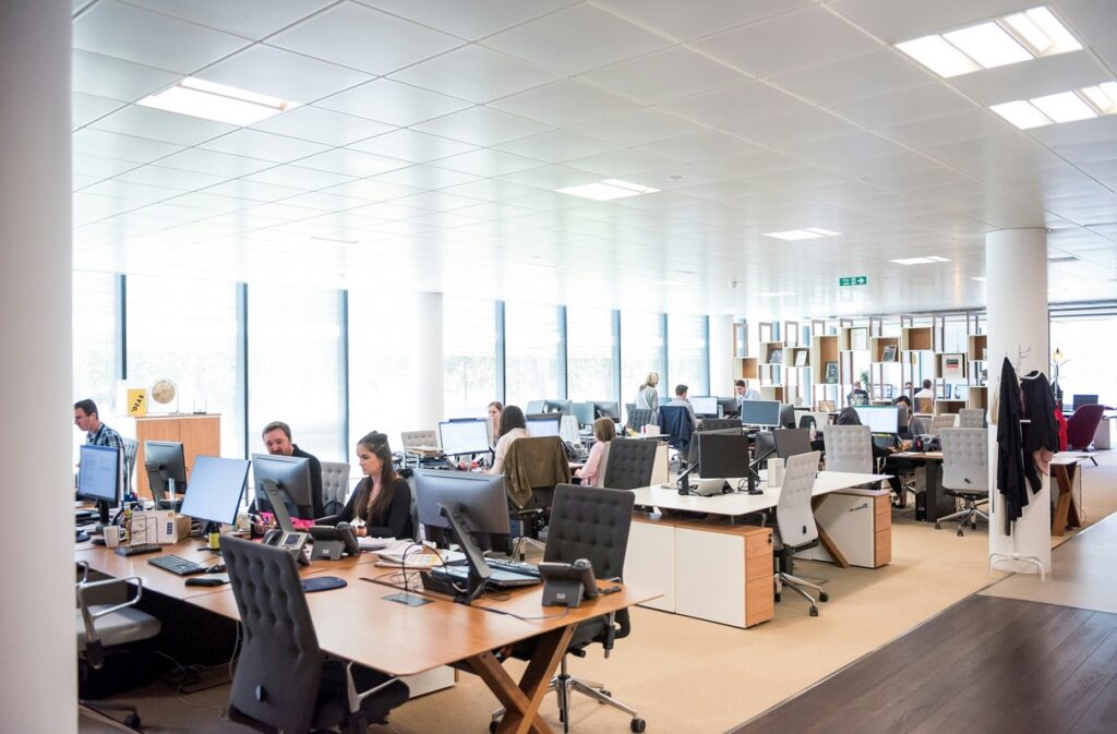 Pracovní trh, zprávy,