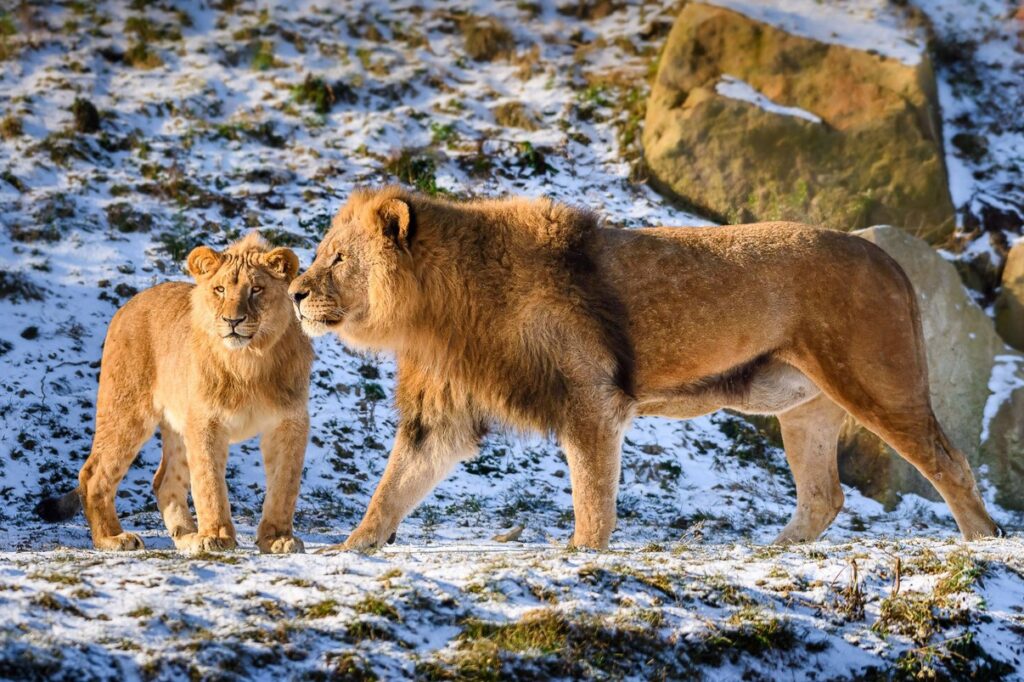 Zoo Zlín, vstupenka, Zlín, pololetní vysvědčení