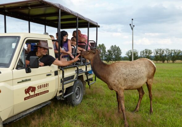Kam na jarní prázdniny, Jižní Čechy,