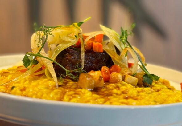 Turnovská pivnice, Valetnýt, resturace