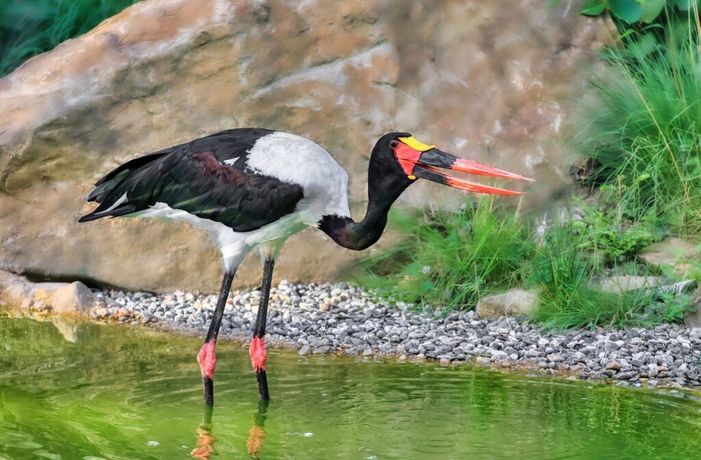 Mokřady pro život, Wetlands for Life, Zoo Zlín