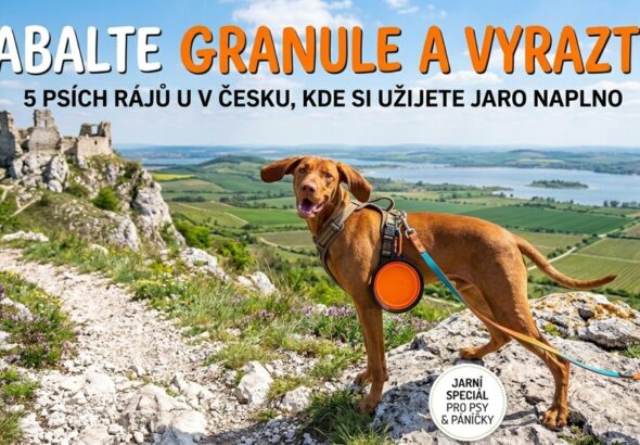 Pes, cestování se psem, Jizerské hory, Třeboňsko, Český ráj, Šumava, Pálava a Pavlovské vrchy