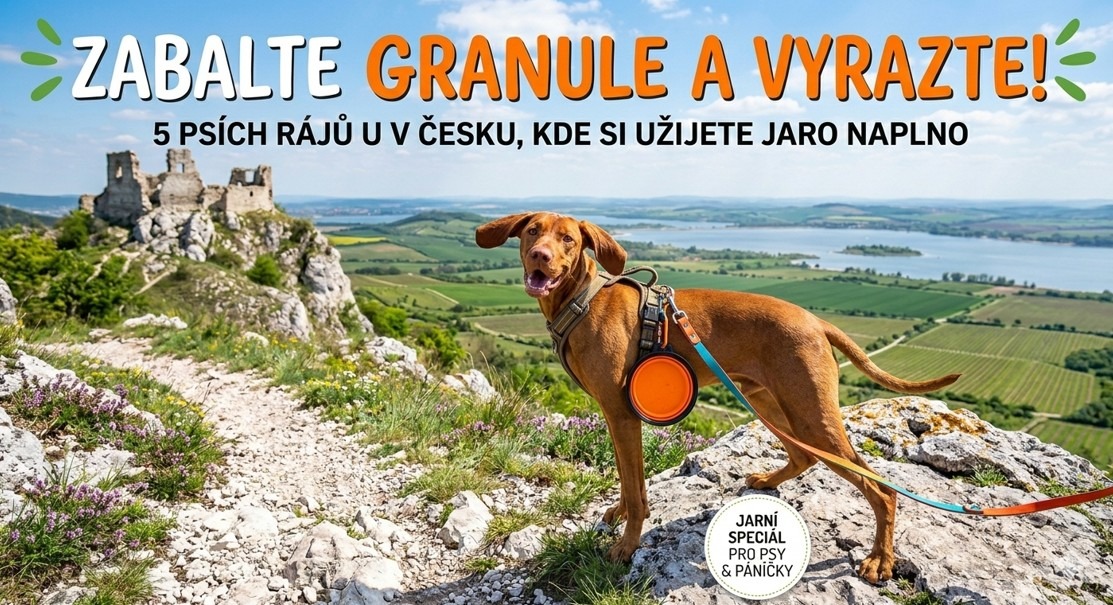 Pes, cestování se psem, Jizerské hory, Třeboňsko, Český ráj, Šumava, Pálava a Pavlovské vrchy