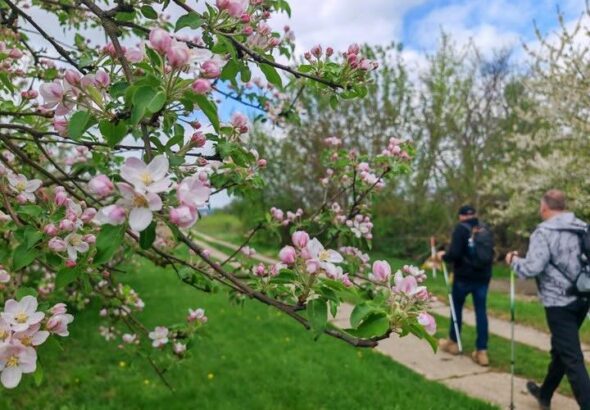 Den Znovín Walkingu