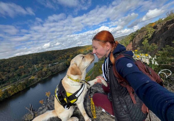 Welfare , pes, Helppes