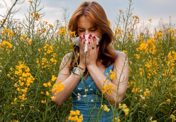 Velvet, alergie, životní styl