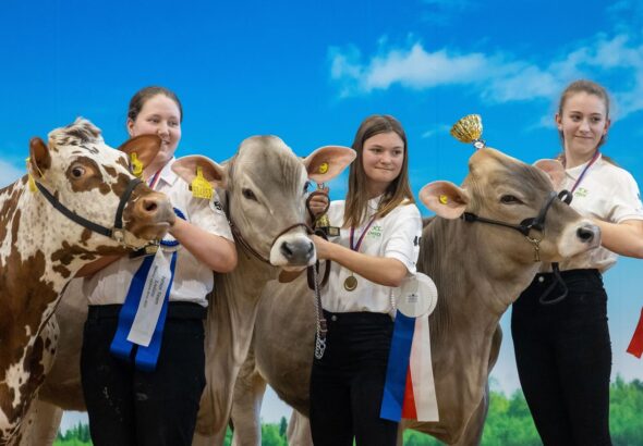 Zemědělský a lesnický veletr