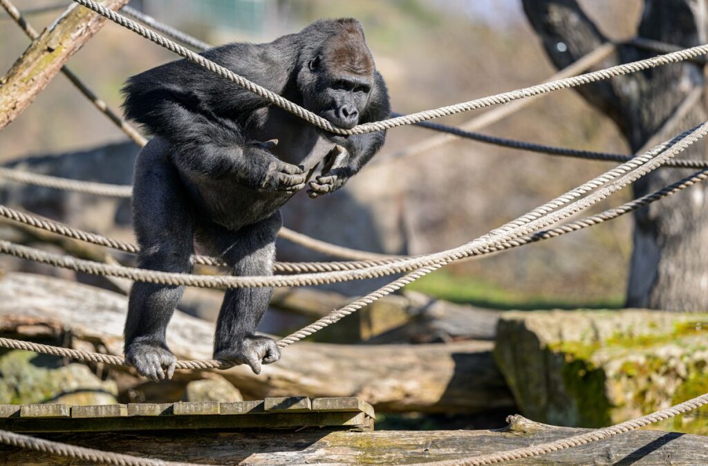 Zoo Praha vítá jaro