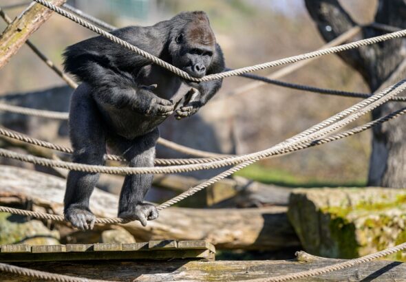Zoo Praha vítá jaro
