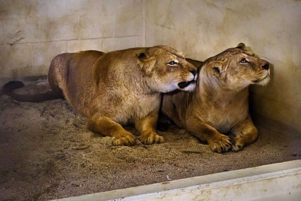 Zoo Zlín