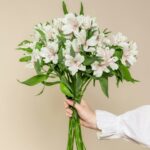 Asombroso, Vitalidad, Parfém, Den matek, kosmetika