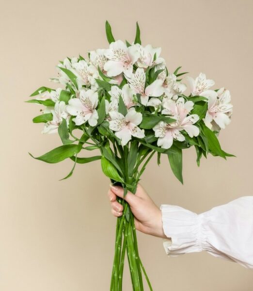 Asombroso, Vitalidad, Parfém, Den matek, kosmetika