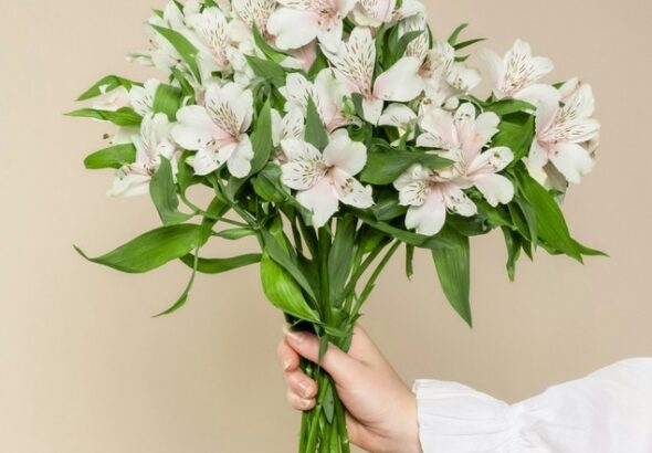 Asombroso, Vitalidad, Parfém, Den matek, kosmetika