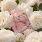 TTA Love Quartz, kosmetika