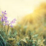 Drobnosti, které umí rozzářit jaro