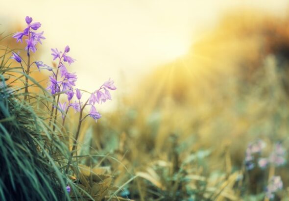 Drobnosti, které umí rozzářit jaro