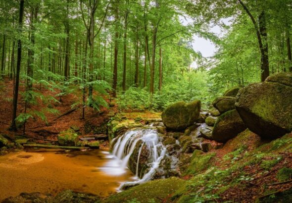Jizerky, cestování, Kořenov, Tanvald, Jizerské Bučiny, Galerie Lázně Liberec