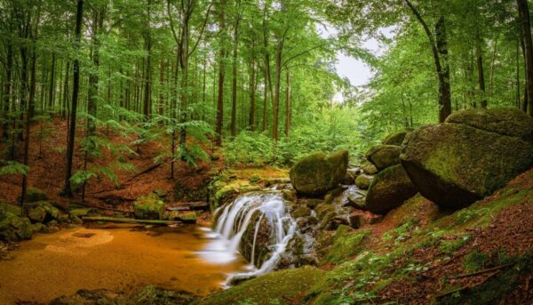 Jizerky, cestování, Kořenov, Tanvald, Jizerské Bučiny, Galerie Lázně Liberec