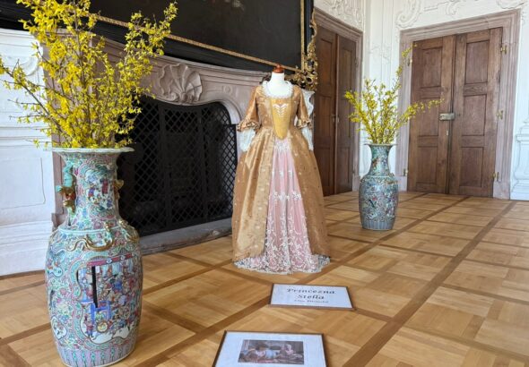 Kostým princezny Stely na náchodském zámku, Mezinárodní den památek , cestování