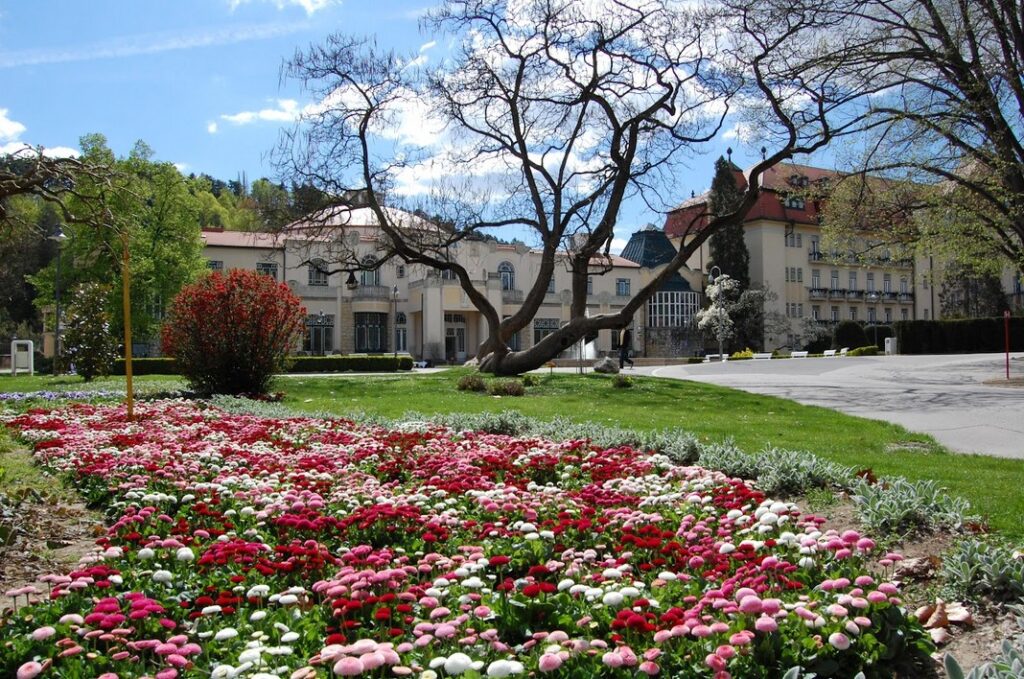 Piešťany, zdraví, Ensana