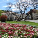 Piešťany, zdraví, Ensana