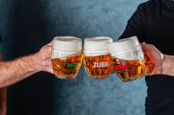 Pivovary ZUBR, PIVEX, pivo