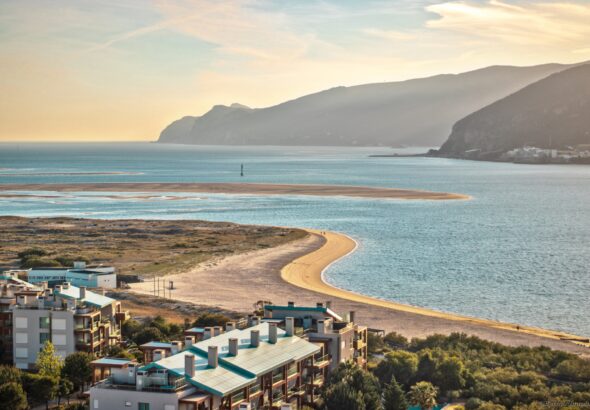 cestovatelský trend, cestovatelský trend, Kiwi,