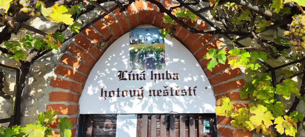 Vrbice, vinařství, víno, jižní Morava