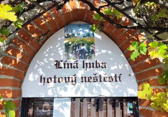 Vrbice, vinařství, víno, jižní Morava