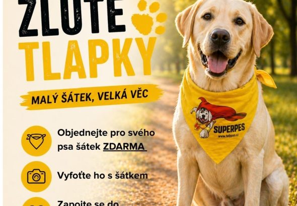 Helppes, žluté tlapky, pes,