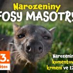 Zoo Tábor, fosa madagaskarská Masotra