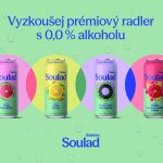 Soulad