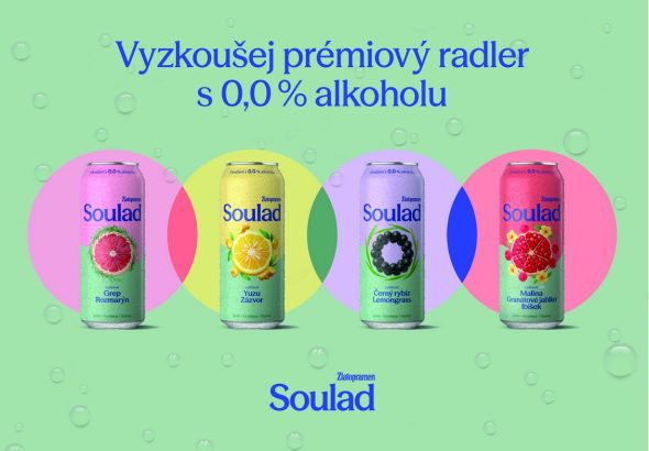 Soulad
