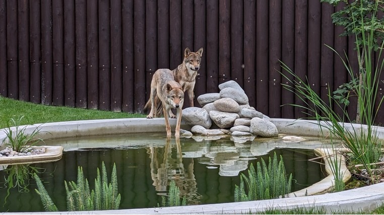 Táborská zoo, Zoo Tábor, Záchranné centrum CITES