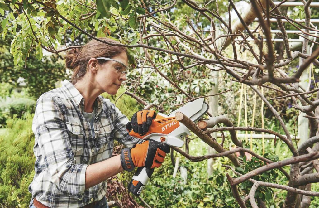 Léto na zahradě, STIHL, prořezání stromů